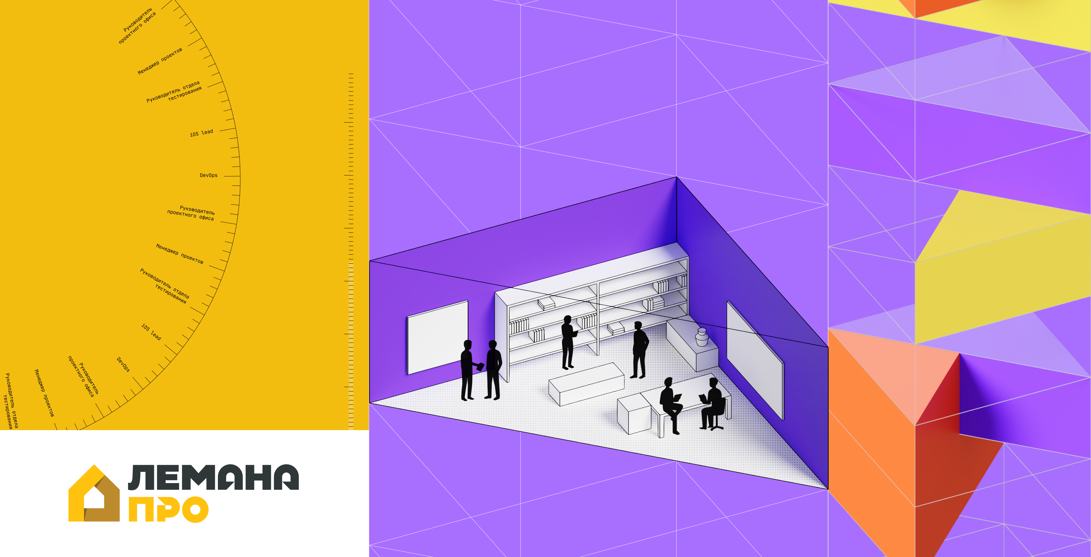The history of Lemana PRO digital product development