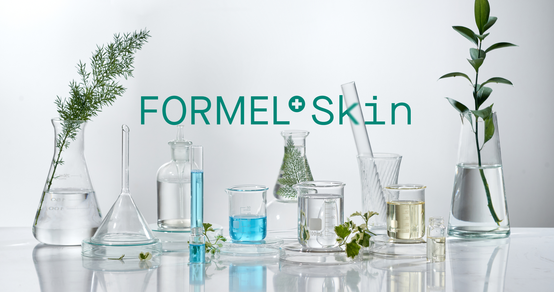 ML Model for FORMEL Skin